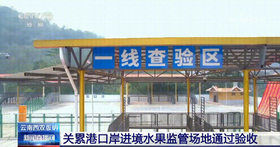 關(guān)累港口岸進境水果監(jiān)管場地通過驗收.gif